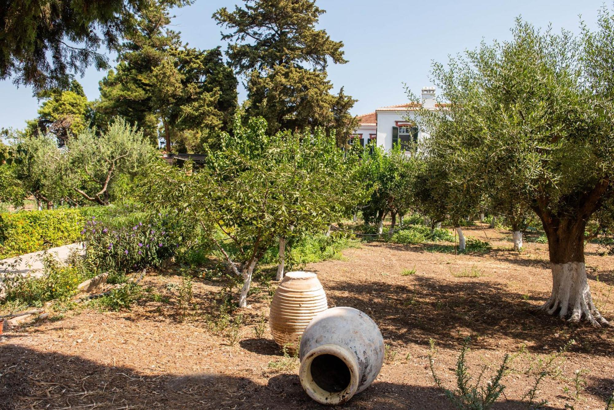 Calvocoressi Estate 希俄斯 外观 照片