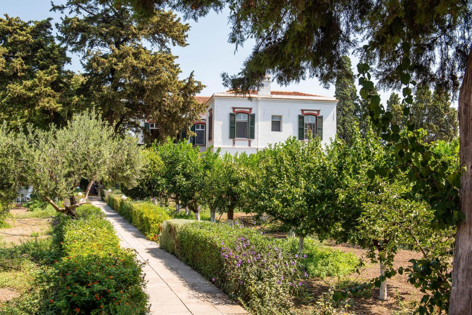 Calvocoressi Estate 希俄斯 外观 照片